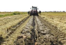 Edwin Almodóvar, alertó a los agricultores y productores de la zona a prepararse ante cualquier sequía o evento atmosférico extremo.