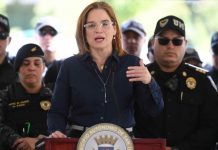 La alcaldesa adelantó que ya ha participado en videoconferencias con otros miembros del equipo de Sanders.