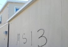 Un trabajo pendiente La pandilla Sur 13 o Sureños 13 es otro grupo criminal que opera en Corona, donde existe una gran comunidad latina y en donde se pueden observar los graffitis pandilleros incluso fuera de la oficina del Concejal Moya. También opera en East Harlem y la calle 116 desde hace varios años, en el 2012 fueron arrestados en esa área y desde entonces operan con mayor presencia en Queens.