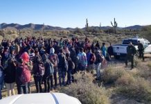 El sector Tucson de la Patrulla Fronteriza ha detenido en lo que va del año a un total de 650 inmigrantes, arrestados en tres grandes grupos.