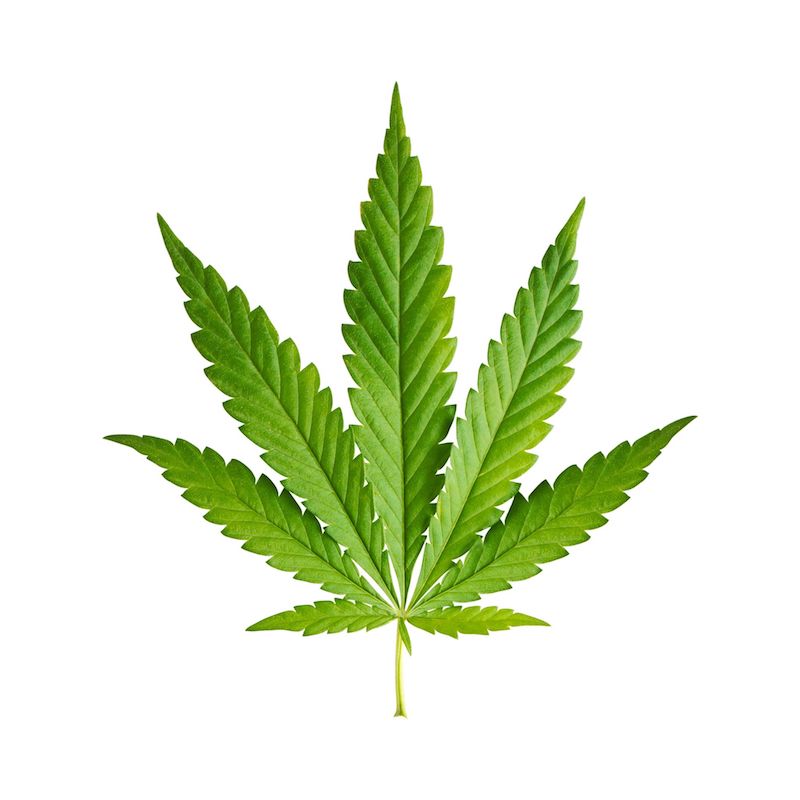 El gobernador Andrew M. Cuomo ha sido uno de los grandes promotores de la legalización de marihuana en Nueva York por los beneficios financieros que puede producir.
