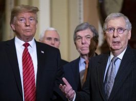 Líder del senado dice que Trump firmará presupuesto y declarará la emergencia Mitch McConnell, declaró que Trump, firmará los presupuestos que evitarán un nuevo cierre administrativo y declarará el estado de emergencia para obtener los fondos que necesite.