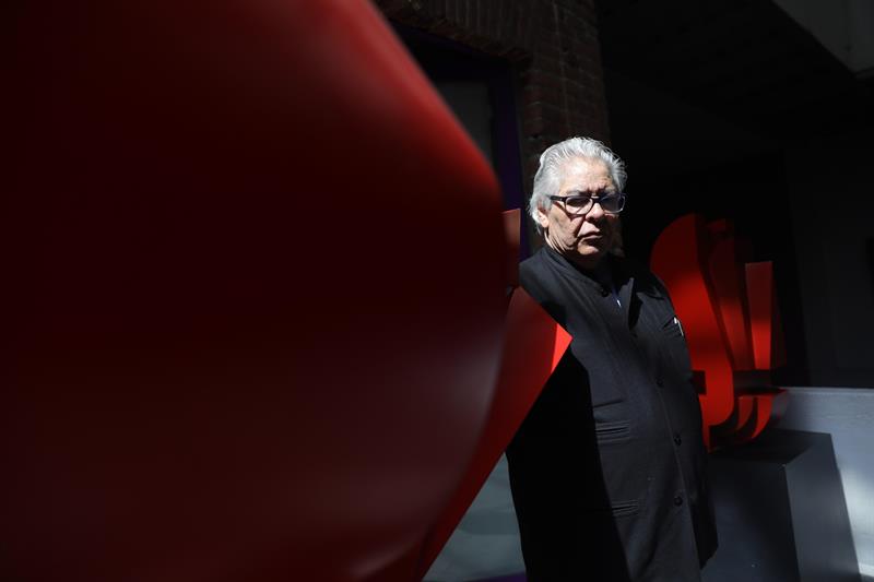 Sebasti&aacute;n afirma que todos los pueblos necesitan de un esp&iacute;ritu creativo para "observar y contemplar la belleza".