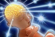 Un científico aseguró que existe la posibilidad de que los cerebros de las dos gemelas manipuladas genéticamente "ilegalmente" por el científico chino He Jiankui para resistir al VIH hayan sufrido cambios que mejorarían su cognición. (Foto de twitter @KOsnp)