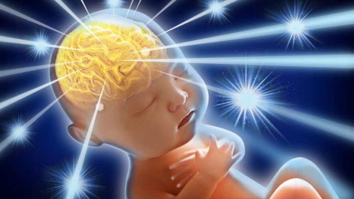 Un científico aseguró que existe la posibilidad de que los cerebros de las dos gemelas manipuladas genéticamente 