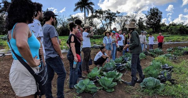 los productores de leche, cerdo, ma&iacute;z, sorgo y soya podr&aacute;n radicar solicitudes y recibir los beneficios del Programa de Facilitaci&oacute;n del Mercado (MFP).