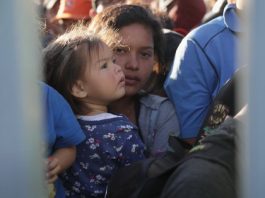 Unos 1.700 migrantes solicitan asilo en México De acuerdo con información de las autoridades proporcionada a los medios, actualmente hay unas 1.800 migrantes que buscan solicitar asilo.