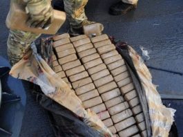 Oficiales de aduanas incautaron hace una semana de 2.513 libras (unos 1.140 kilos) de cocaína, valoradas en 28,5 millones.
