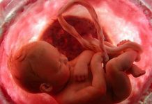Desarrollan un análisis de sangre para conocer las primeras etapas de la vida El Hospital Infantil de Boston, en Estados Unidos, ha desarrollado un análisis de sangre pionero que permite obtener información sobre las primeras horas en la vida de los recién nacidos.