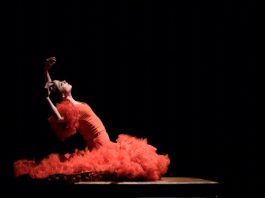 Flamenco Festival vuelve a Nueva York con apuesta "diferente" por la música El festival se ha consolidado como la principal plataforma para el flamenco en la escena cultural internacional cuando están a punto de cumplirse las dos décadas de su celebración en la Gran Manzana.
