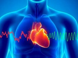 Estudio vincula la enfermedad renal crónica con el paro cardiaco súbito en adultos latinos La estenosis aórtica, una condición que obstruye el flujo sanguíneo del corazón al cuerpo, eleva el riesgo hasta en 34 % de que los pacientes sufran una muerte súbita