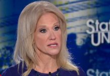 Kellyanne Conway, conectó la crisis de opiáceos que vive el país con los "problemas" en la frontera.