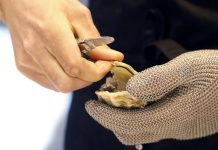 Una de las consecuencias menos conocidas del cambio climático es el incremento de los niveles de acidez del agua de mares y océanos, con un gran impacto sobre la flora y fauna marinas