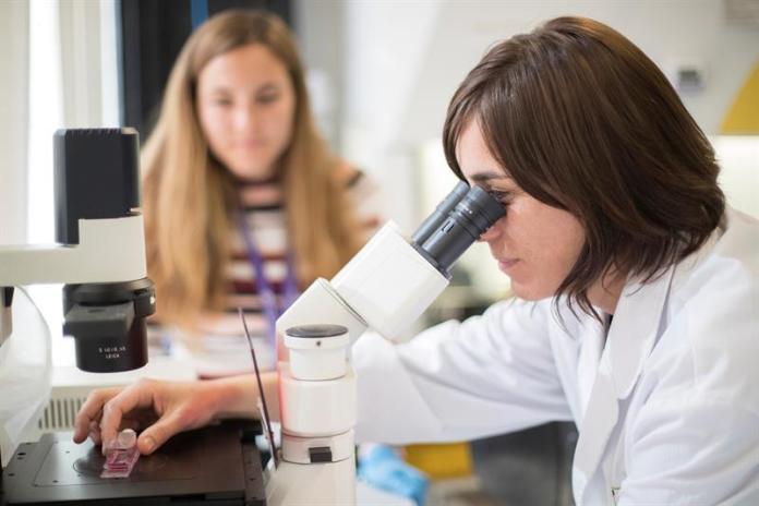 Científicos de la Universidad de Carolina del Norte han descubierto una enzima, la USP21, que favorece la proliferación del cáncer.