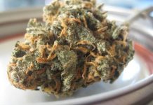 Bajo los términos del acuerdo, la marihuana tendrá un impuesto de 42 dólares por onza cuando se cultive.
