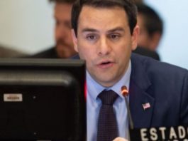 El Gobierno hará "todo lo posible" para que la OEA reconozca al enviado de Guaidó El embajador del país ante la Organización de Estados Americanos (OEA), Carlos Trujillo.