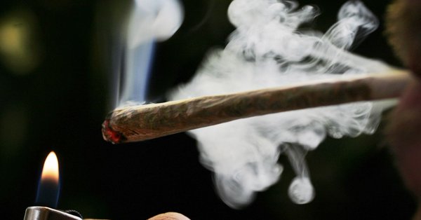 Demócratas instan a legalizar la marihuana en el "día" del cannabis.