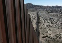 Demandan al Gobierno por el riesgo a la vida salvaje con el muro fronterizo la Administración de Trump planea construir o fortificar muros fronterizos a través de, al menos, seis refugios silvestres.