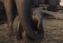 Dirigida por Tim Burton, la cinta vuelve a relatar la historia del elefante de orejas gigantes, esta vez recreado digitalmente, que se convierte en estrella del circo.