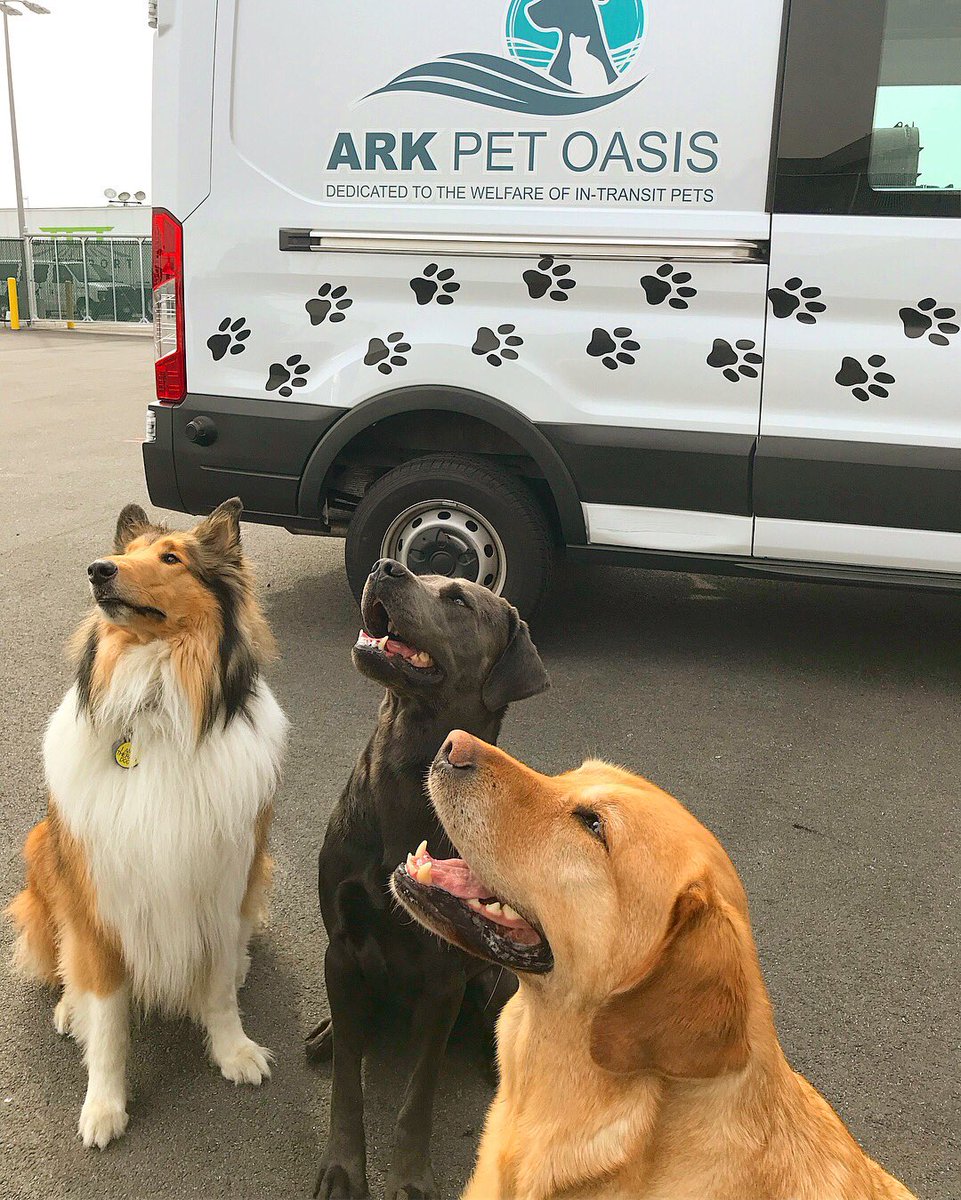 Oasis de las mascotas del aeropuerto JFK.