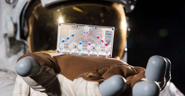 Estados Unidos estudiará envejecimiento en el espacio con imitación de tejidos humanos1 Chips que imitan en tres dimensiones tejidos y órganos humanos como el pulmón, la médula ósea y el riñón serán enviados al espacio el próximo 30 de abril