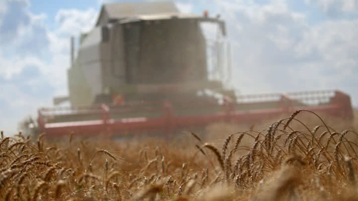 La OMC falla a favor de EEUU en disputa con China por aranceles a cereales.