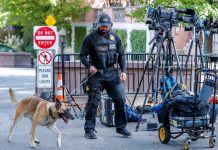 Perra policía descubre casi 4.000 kilos de marihuana en ollas a presión Un proyecto de ley aprobado por el Senado de Florida podría convertir en delito grave causar la muerte de perros policía, un cargo que puede acarrear una condena de hasta 15 años de cárcel.