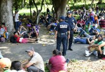 El Comité de Naciones Unidas para la Protección de los Migrantes expresó hoy su preocupación por los informes de abusos contra los guatemaltecos.