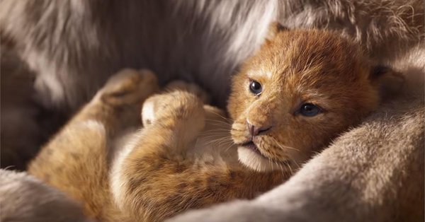 Disney present&oacute; el primer tr&aacute;iler de la nueva versi&oacute;n del cl&aacute;sico animado "The Lion King".