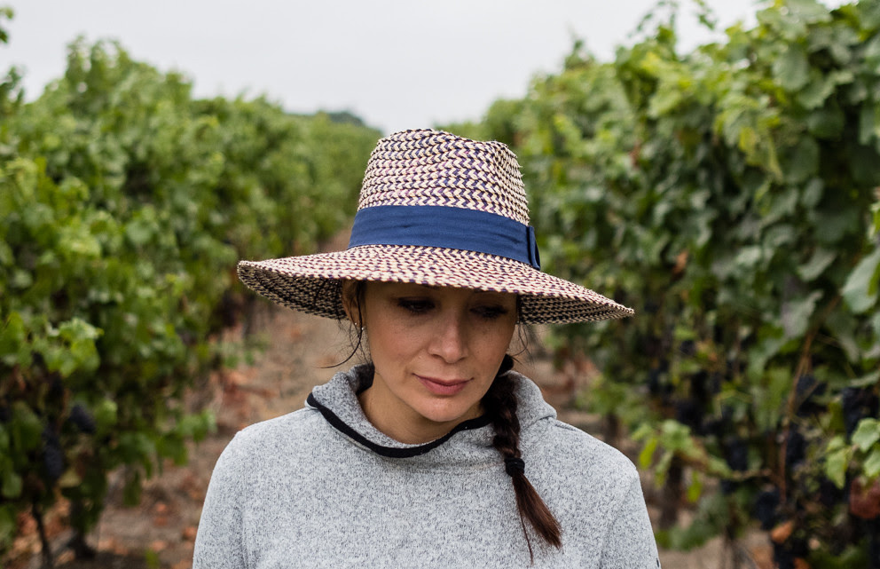 Temporada de cosecha indaga en las vidas de los trabajadores temporales, los residentes permanentes y latinos multigeneracionales que están íntimamente conectados a la producción de vinos.
