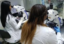"Request a Woman Scientist", tiene como objetivo aumentar la presencia de científicas en la esfera pública.