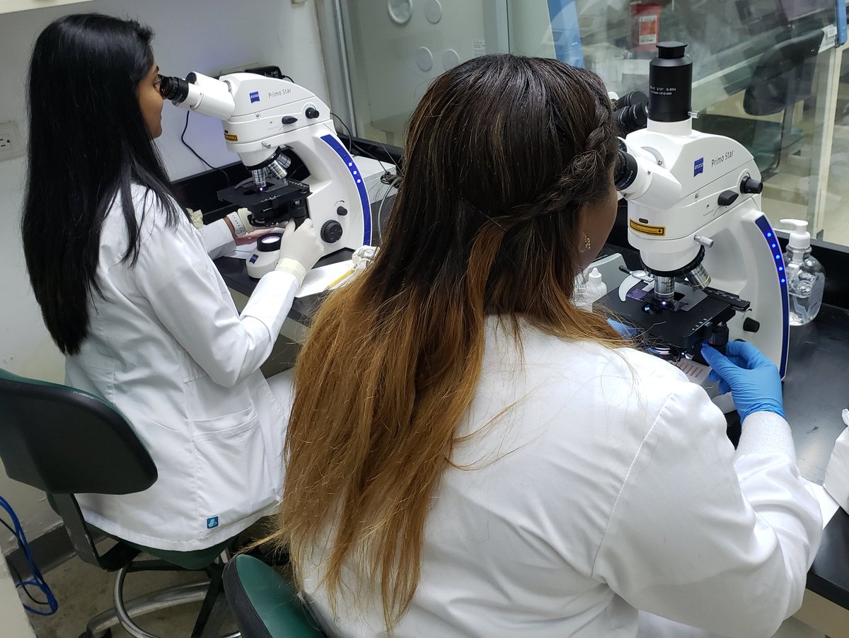 "Request a Woman Scientist", tiene como objetivo aumentar la presencia de cient&iacute;ficas en la esfera p&uacute;blica.