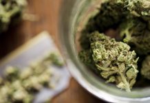 Nextgen Pharma,, reclamó al Departamento de Salud (DS) local que reconsidere su intervención contra la venta de productos de cannabis ricos en cannabidol (CBD) en dispensarios certificados en la isla.