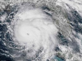 Nuevo análisis revela que huracán Michael tocó Florida con categoría 5 El devastador huracán Michael tocó tierra en Florida con categoría 5.