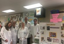 "Enseñan" a computadoras a identificar células asociadas con el Alzheimer El equipo diseñó el programa de computador que puede reconocer los patrones de las placas amiloides en grandes porciones de tejido cerebral proveniente de autopsias.