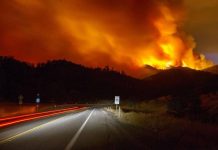 California necesita aumentar "incendios programados" para evitar catástrofes Las quemas prescritas por las autoridades para consumir maleza y vegetación seca son un recurso importante para prevenir los grandes incendios.