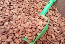 Comer frutos secos durante el embarazo mejora el neurodesarrollo de los bebés Los frutos secos que han tenido en cuenta los investigadores son nueces, almendras, cacahuetes, piñones y avellanas.
