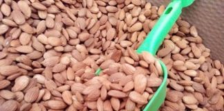 Los frutos secos que han tenido en cuenta los investigadores son nueces, almendras, cacahuetes, piñones y avellanas.