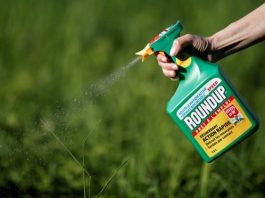 Estados debaten prohibir popular pesticida que afectaría el desarrollo infantil Varios estudios han relacionado la exposición prenatal al clorpirifos con disminución de peso al nacer, bajo coeficiente intelectual, déficit de atención e hiperactividad.
