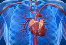 Los eventos cardiovasculares podrían provocar hasta doce fallecimientos diarios.