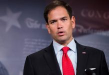 El senador republicano Marco Rubio.