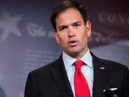 El senador republicano Marco Rubio.