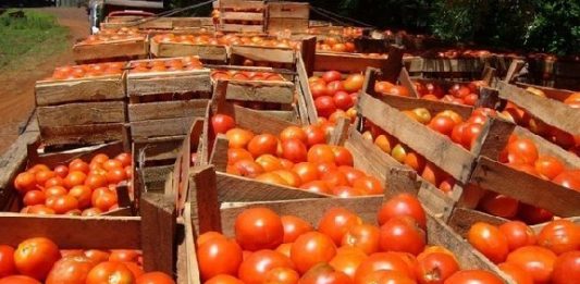 El Gobierno de México informó que los productores mexicanos seguirán negociando para lograr un acuerdo de exportación.