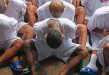 Según el Gobierno, hay alrededor de 10.000 miembros de MS-13 en el país -de los cuales 2.000 se calcula que operan en Long Island.