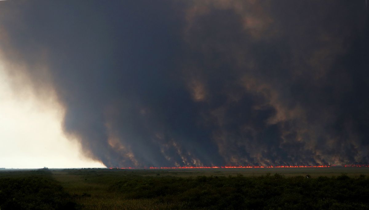 Un incendio causado por un rayo en los Everglades, ha consumido ya la vegetaci&oacute;n de 32.000 acres de terreno.