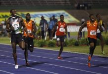 Una bacteria del género Veillonella hallada en el microbioma de los deportistas de élite contribuiría a mejorar la capacidad de ejercicio
