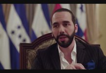 ONG espera que Bukele y López Obrador busquen garantizar derechos de migrante El presidente de El Salvador, Nayib Bukele.
