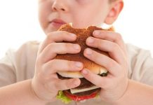 Avanza el sobrepeso en menores en medio de la atracción por la comida basura Se estima que hay 830 millones de obesos entre adultos y niños, por encima de los casi 822 millones de hambrientos.