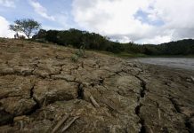 Por primera vez en tres meses, al menos el 50 % del territorio de Puerto Rico no sufre de sequía, según reveló el más reciente informe del Monitor de Sequía de Estados Unidos.