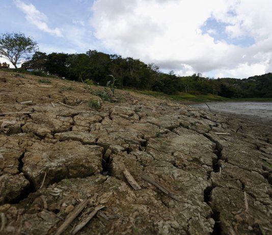 Comisionado residente de Puerto Rico propone plan para Gobierno federal por crisis de agua Por primera vez en tres meses, al menos el 50 % del territorio de Puerto Rico no sufre de sequía, según reveló el más reciente informe del Monitor de Sequía de Estados Unidos.